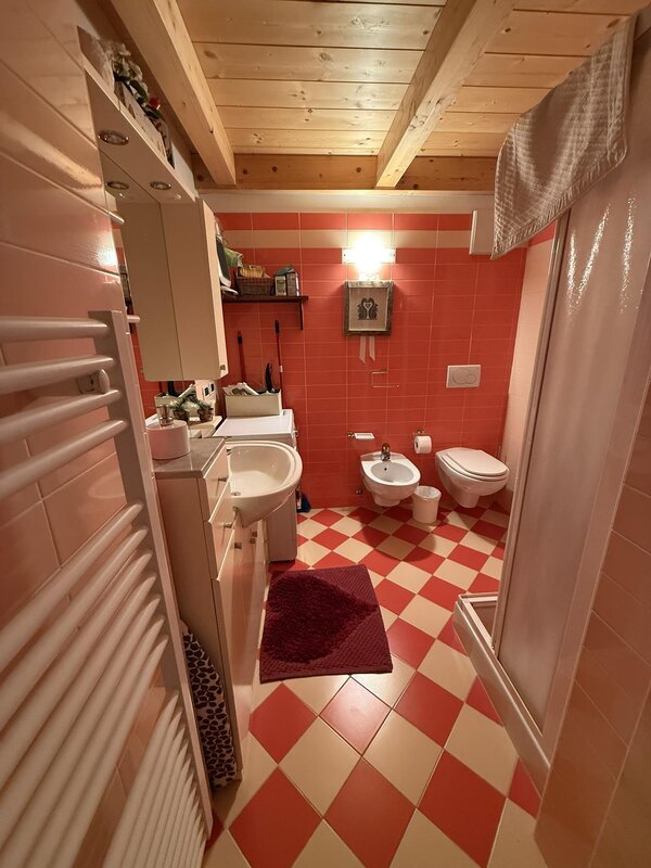 Rosignoli Andrea   Mansarda Casa Battisti N