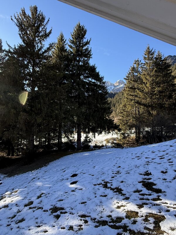 Rosignoli Andrea   Mansarda Casa Battisti N